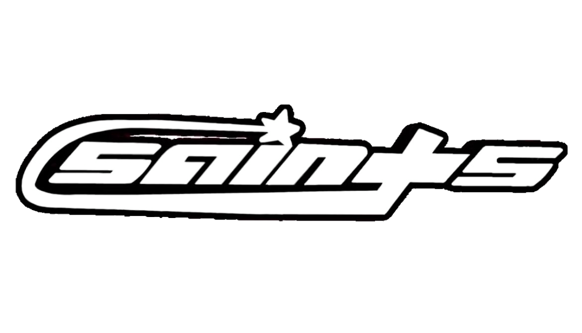 SAINTSVISION